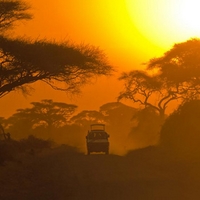 Digit Western Cape | Safari, Travel & Tours